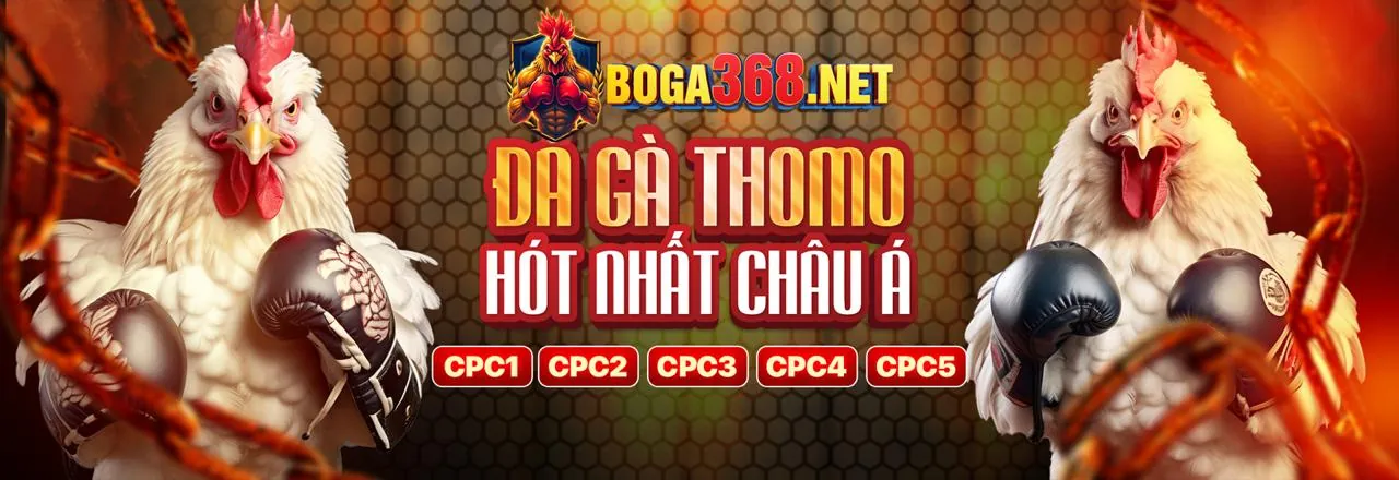 fo88 win cam kết cá cược có trách nhiệm